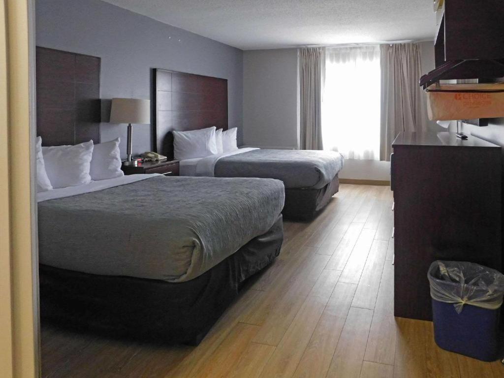 Quality Inn Colchester - Burlington Buitenkant foto